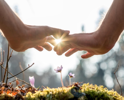 Two hands reaching for flower on moss